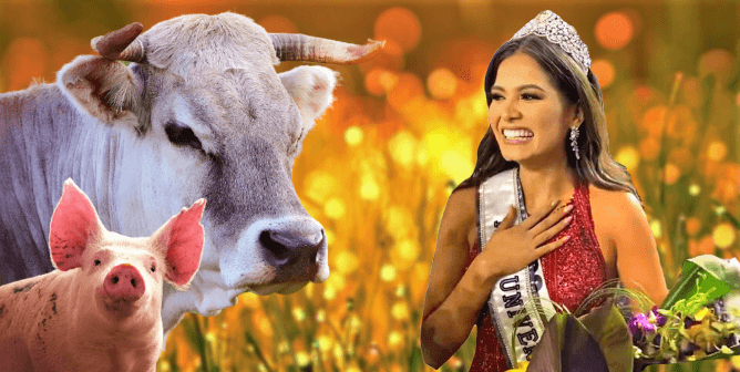 Miss Universe Andrea with animals