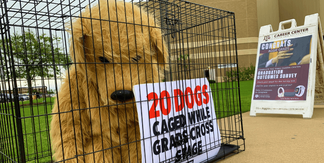 PETA dog mascot at TAMU protest 2021