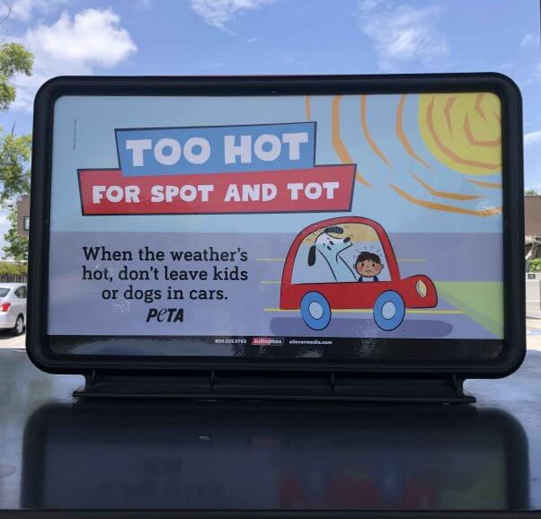 Florida 1 too hot for spot ads