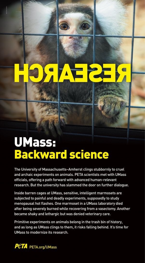 UMass Backward Science Ad