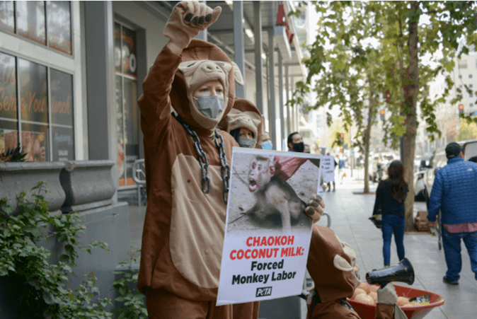 PETA organizes a protest outside of a Whole Foods Market to