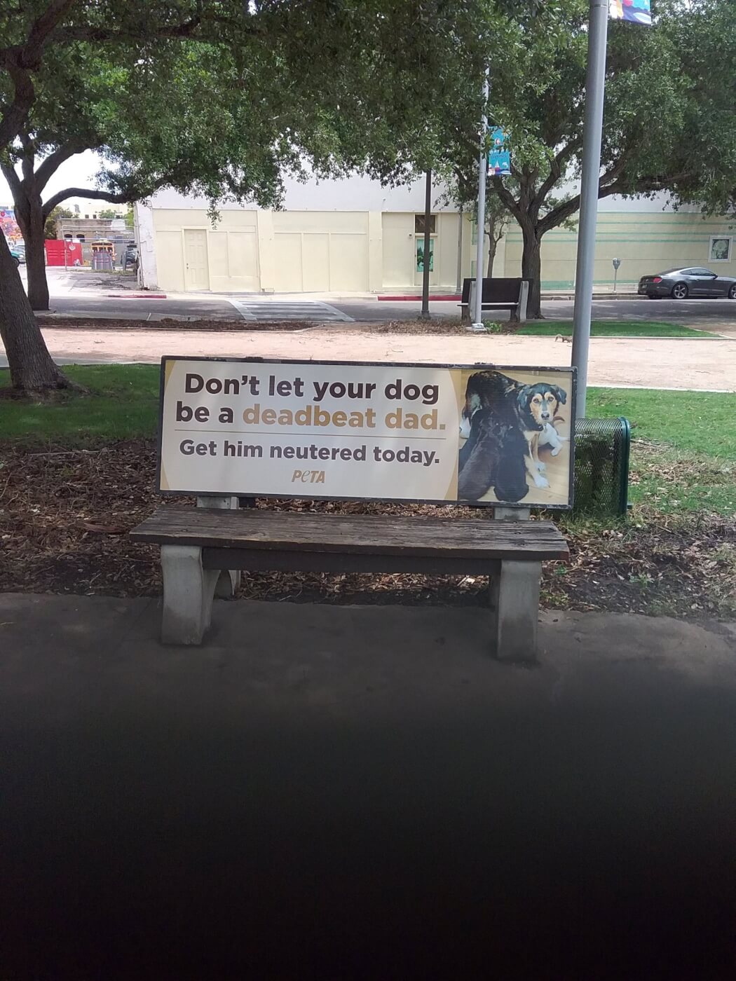 PETA's deadbeat dad dog ad hits Corpus Christi
