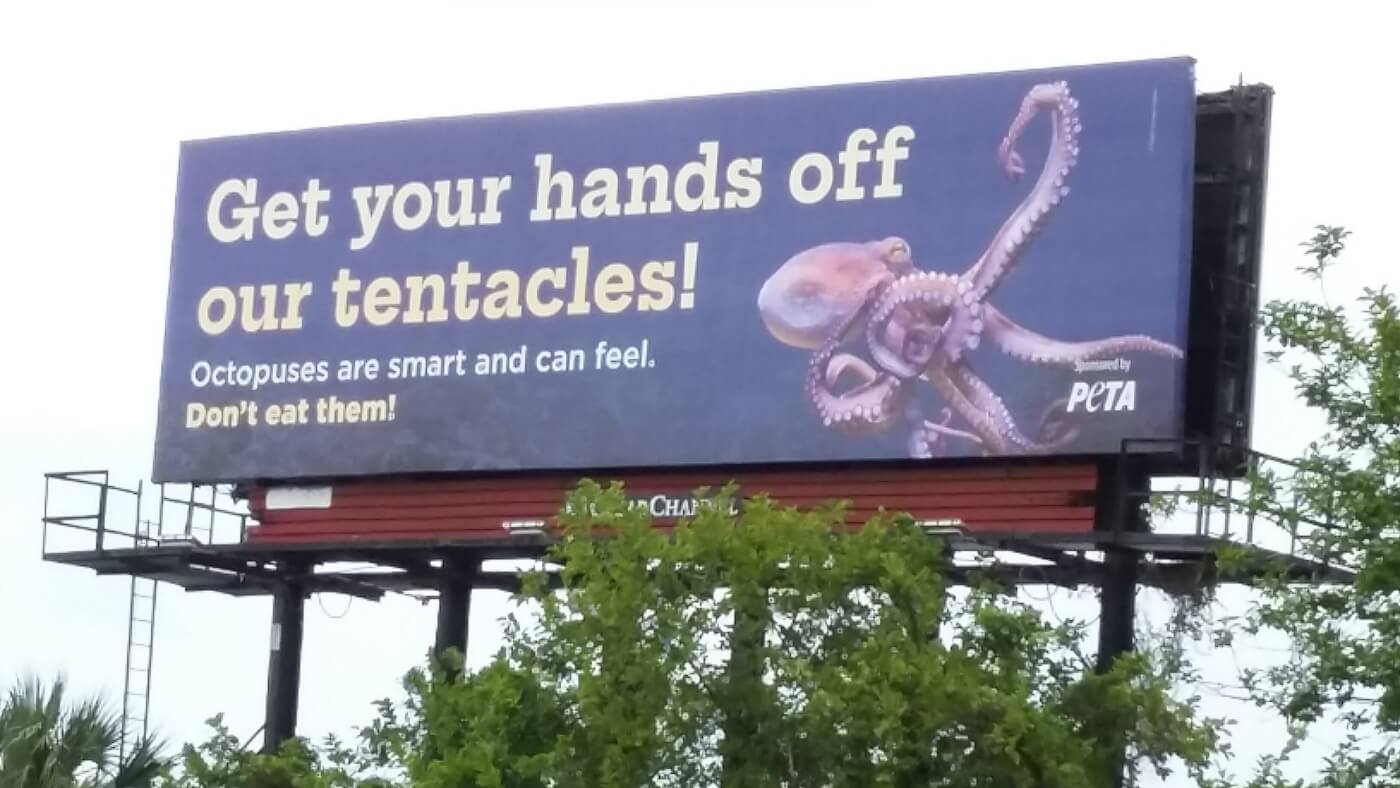 Get Your Hands off Our Tentacles