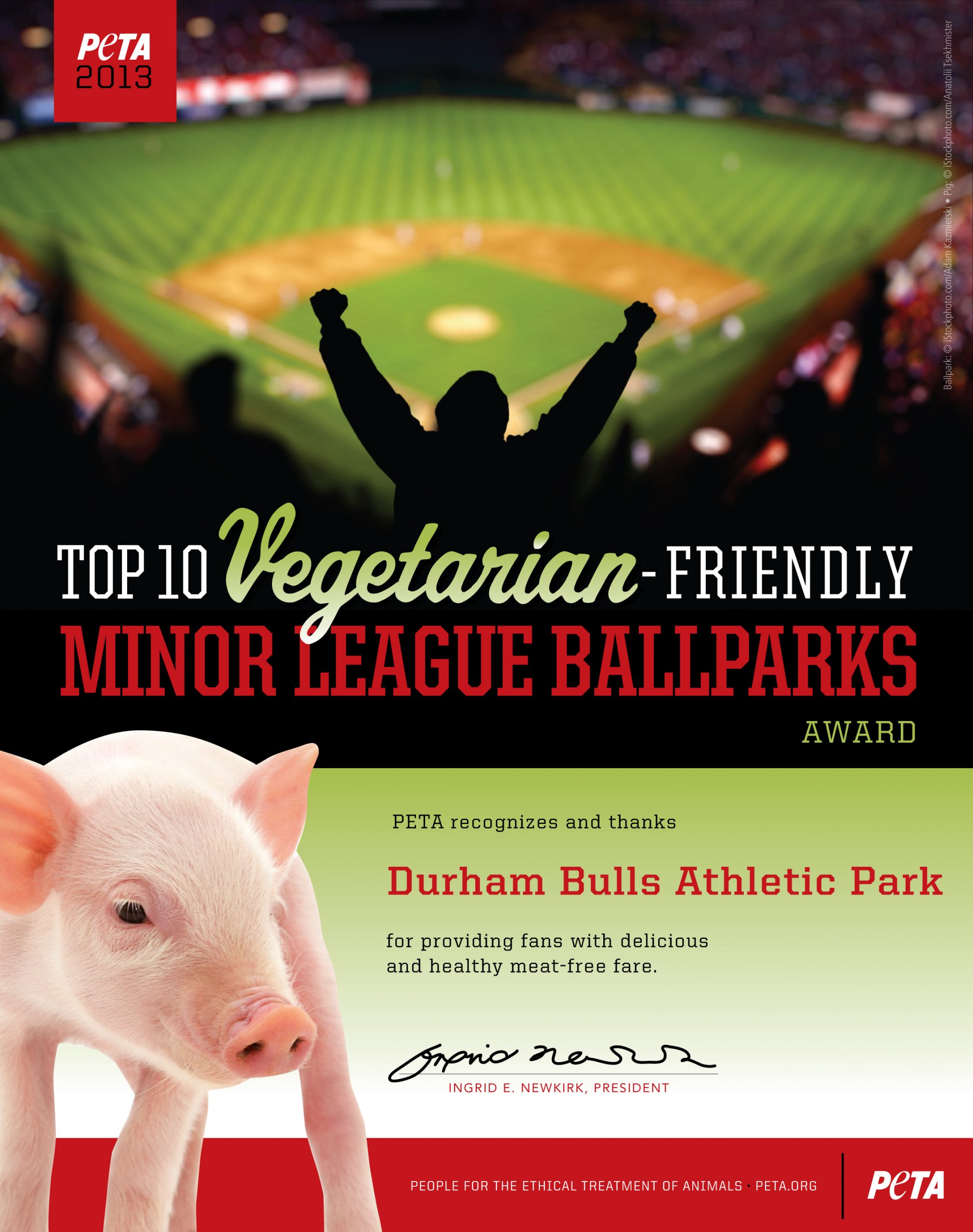 Durham Bulls Athletic Park - Where is the best ballpark in the minors? 