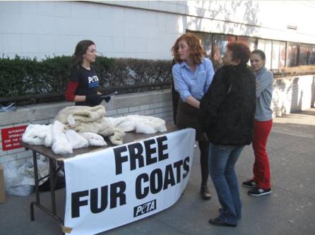 Every Friday Should Be This Fur-Free | PETA