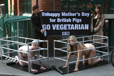 450px x 300px - Naked Chef' Gets Naked (and Pregnant) Surprise | PETA