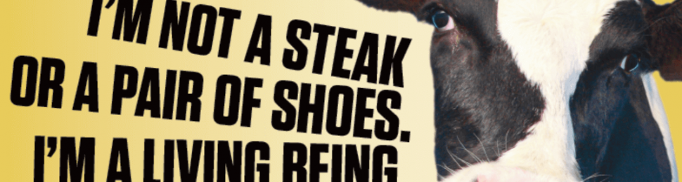 I'm not a steak billboard