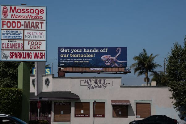 PETA Octopus billboard