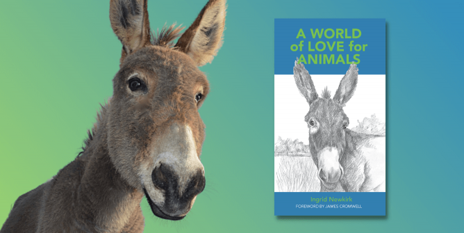 donkey with IEN's book a world of love for animals