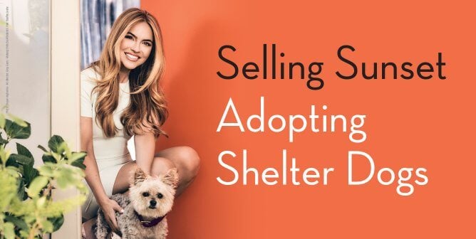 Chrishell Stause adoption blog