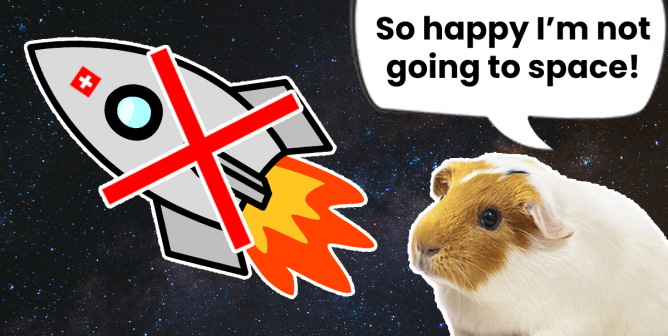 drawing of guinea pig and rocket with text "so happy I'm not going to space!"