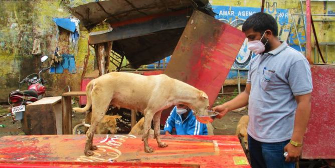 Animal Rahat workers feed starving dogs