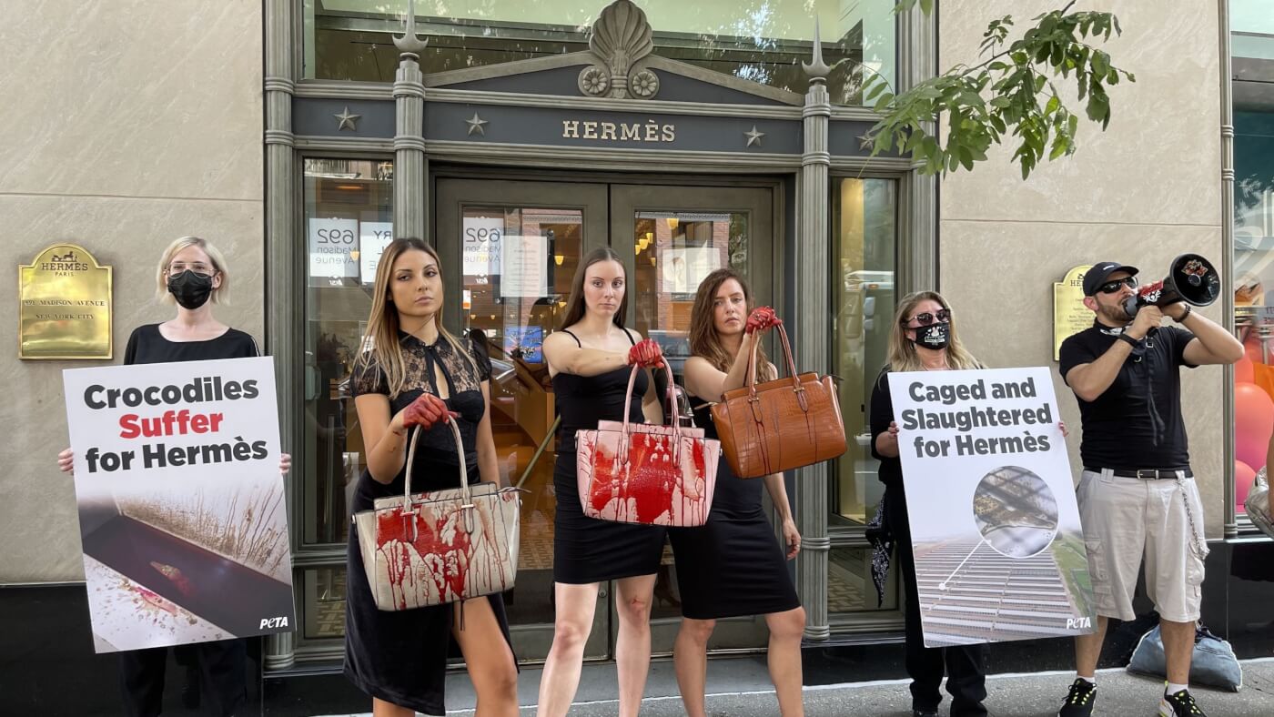 PETA buys stake in Hermès in dispute over crococile skins