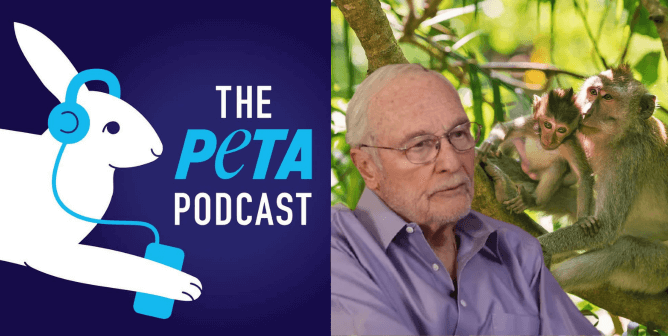 PETA Podcast with Dr. John Gluck