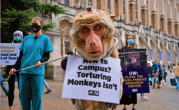 Dorothy mascot protest UW experiments