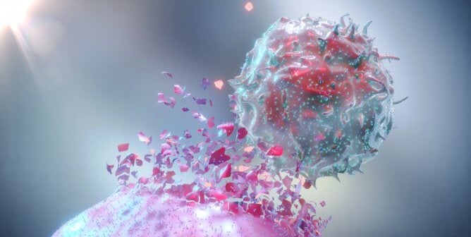 3D Rendering of a Natural Killer Cell (NK Cell) destroying a cancer cell.