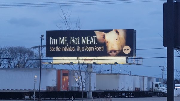 Me not meat billboard