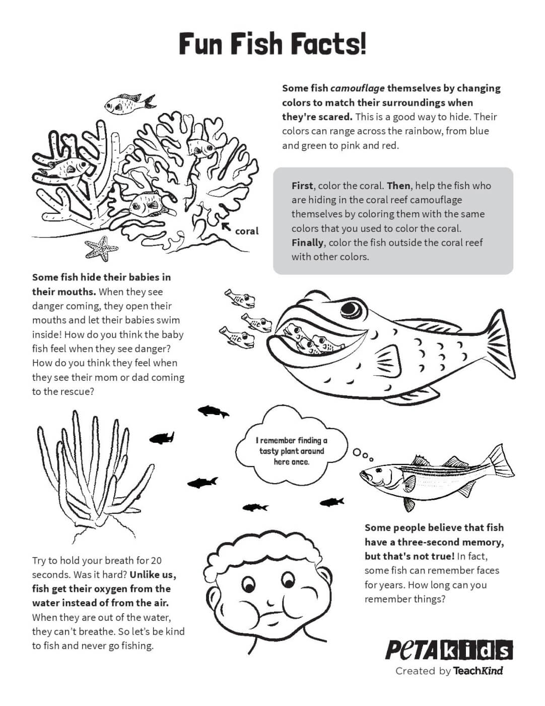 Fish Facts for Kids  Learn Important Terms and Concepts