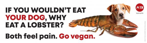 PETA ad showing a lobster with a dog's head, that reads "If you wouldn't eat your dog, why eat a lobster? Both feel pain. Go vegan."