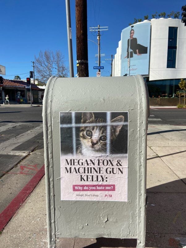 Megan Fox And Machine Gun Kelly Adoption Street Art Blitz 