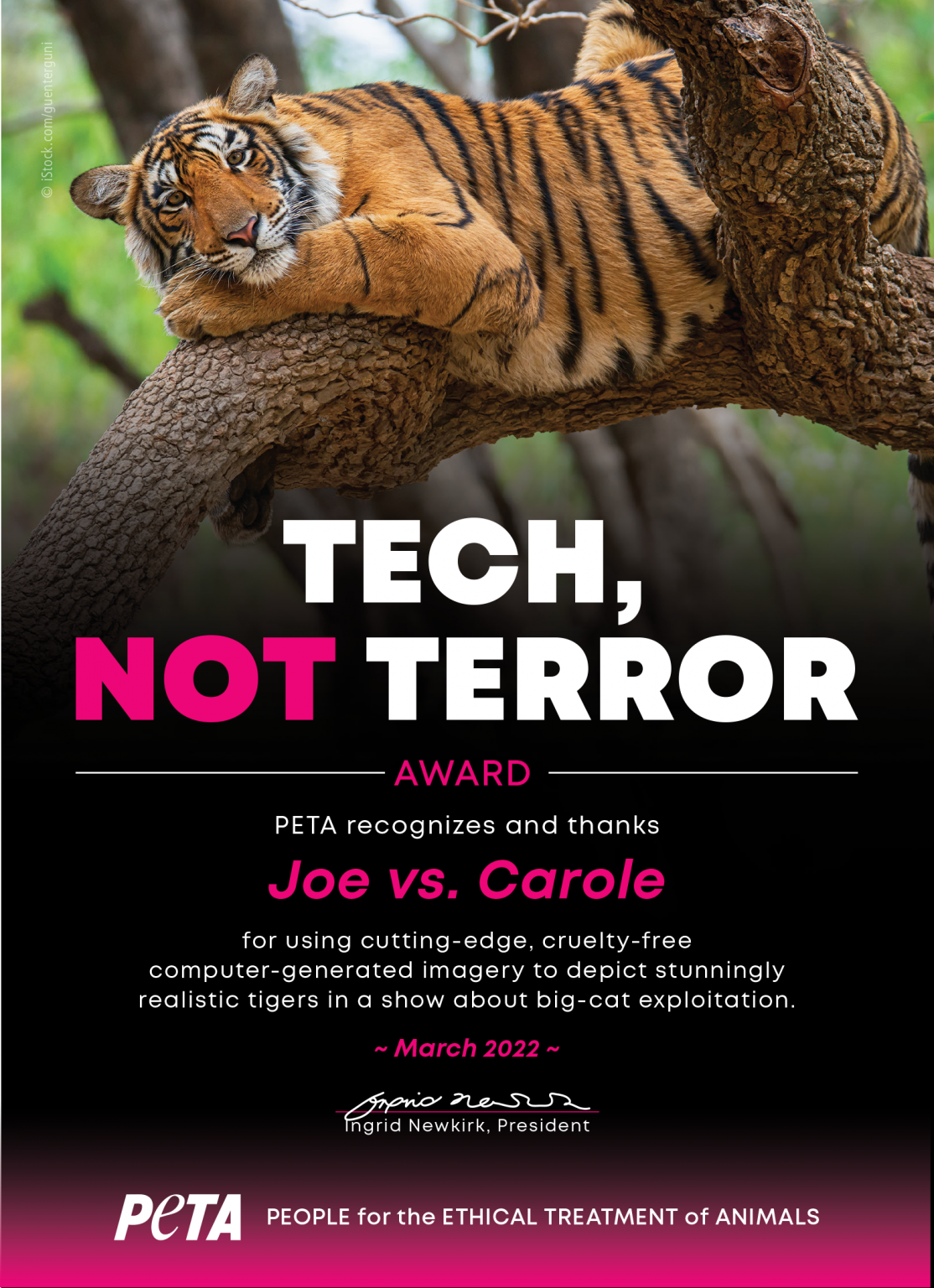 Kate McKinnon ‘Joe vs. Carole’ Series Uses CGI Tigers | PETA