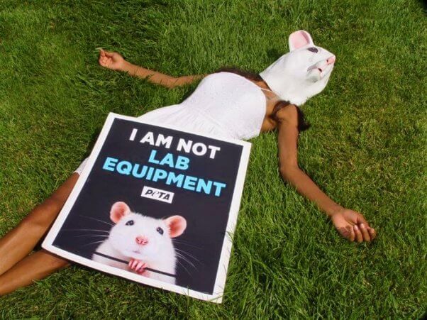 not lab equipment protest