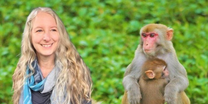 Dr. Lisa with two rhesus macaques