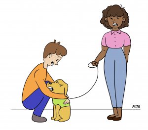 How to Greet a Dog: 4 Do’s and 4 Don’ts (June 2022) | PETA