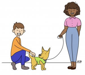 How to Greet a Dog: 4 Do’s and 4 Don’ts (June 2022) | PETA