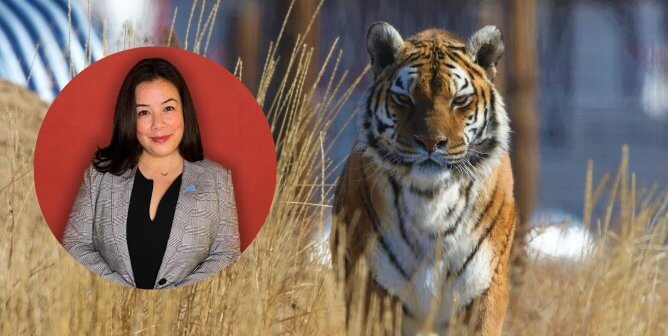 Caitlin Hawks and rescued tiger Cheyenne