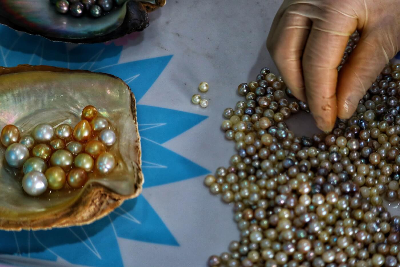 Are Pearls Vegan? Here's What You Should Know