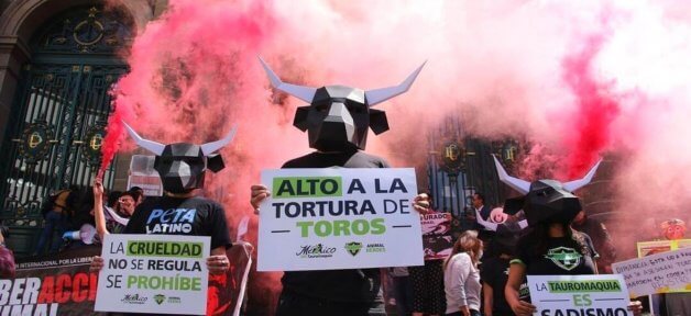 PETA latino bull fight protest