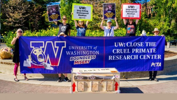 protest at University of Washington