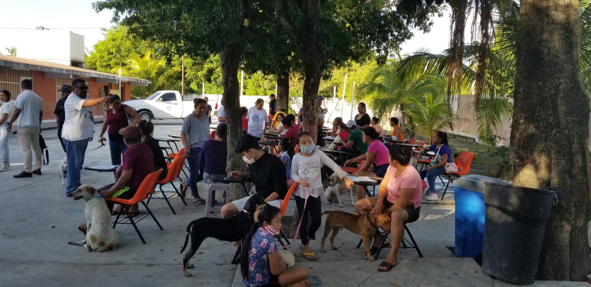 170+ Dogs and Cats Spayed or Neutered in Cancún | PETA