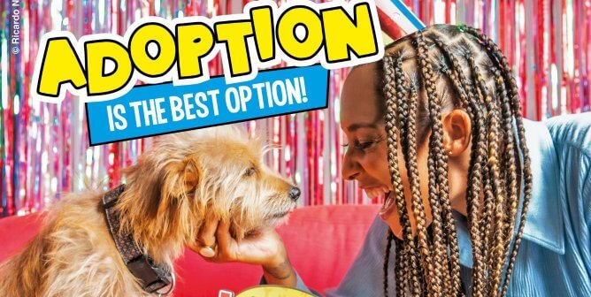 Amanda Seales adoption ad feature image