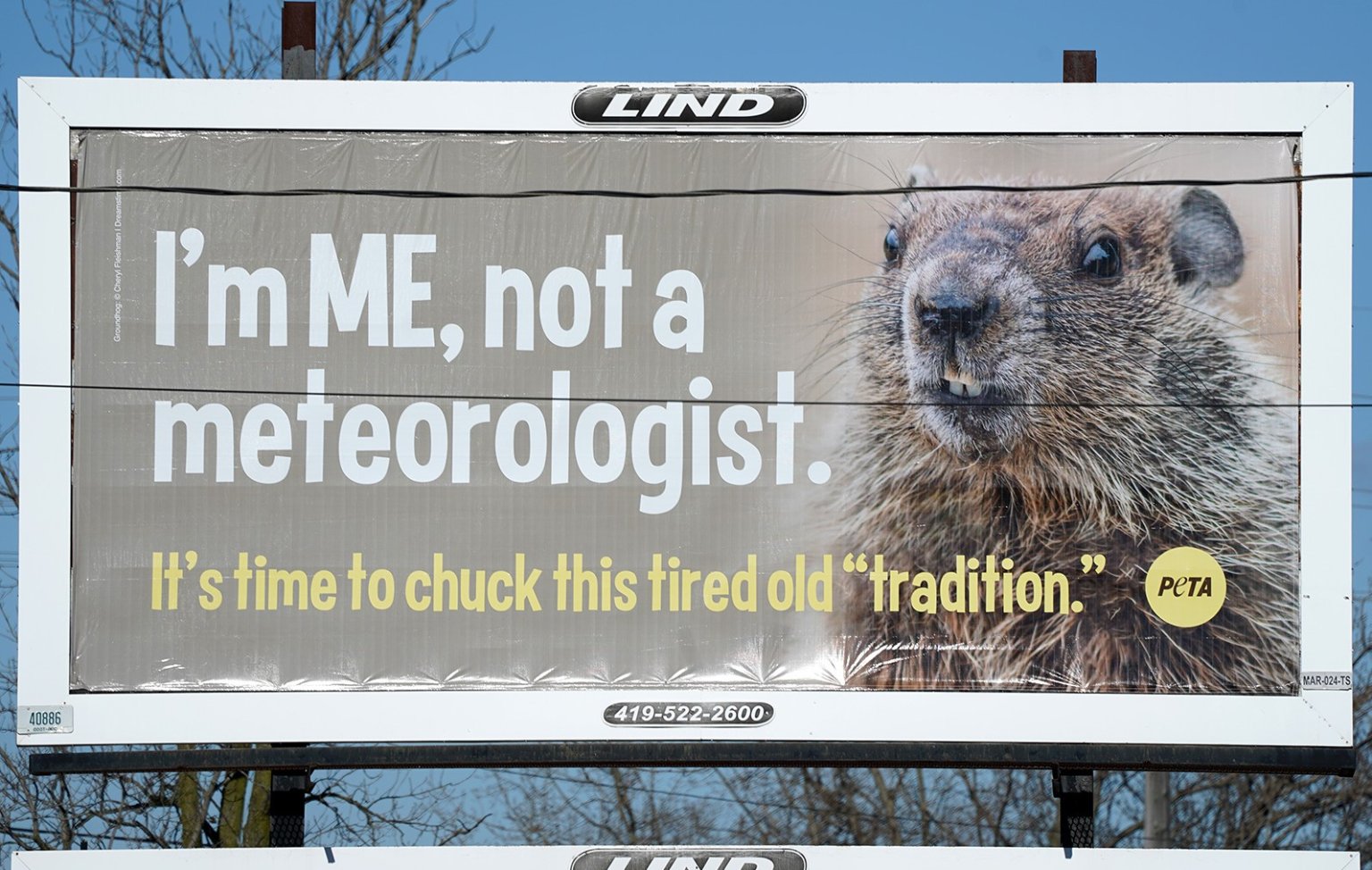 Replace Punxsutawney Phil With a Human ‘Groundhog’ | PETA