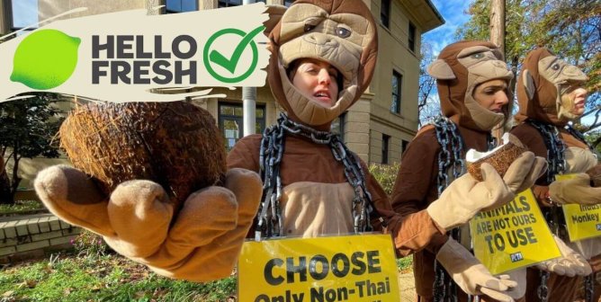 protestors in monkey suits protesting against forced monkey labor. the hello fresh brand mark is overlaid on the image with a checkmark.