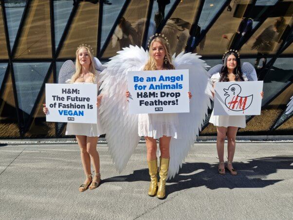 peta UK supporters dressed up as angels to protest H&M selling down feathers