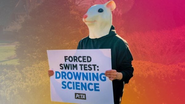 mouse protester holding sign against forced swim test