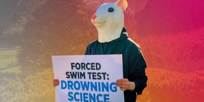 mouse protester holding sign against forced swim test