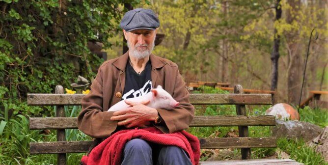 James Cromwell with rescued pig on bench