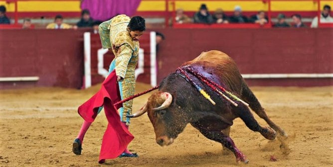 bullfight in Spain