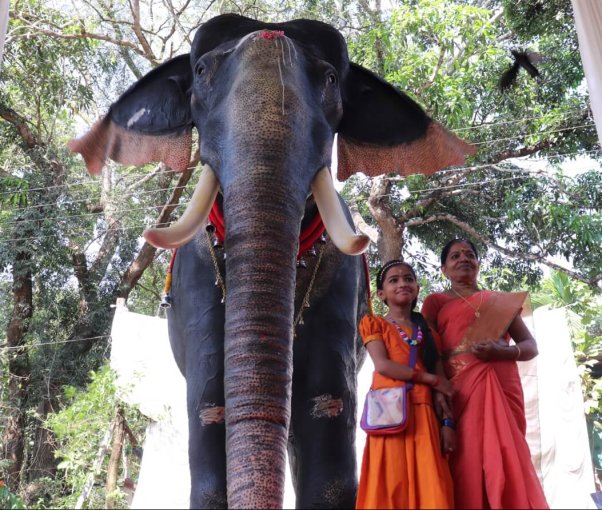 A robotic elephant given to the Irinjadappilly Sree Krishna Temple in India