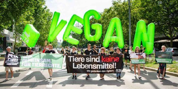 From Germany With Love | PETA