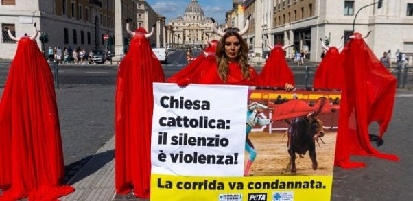 Silence Is Violence: Vatican Protest Calls On Pope to Denounce Bull Torture