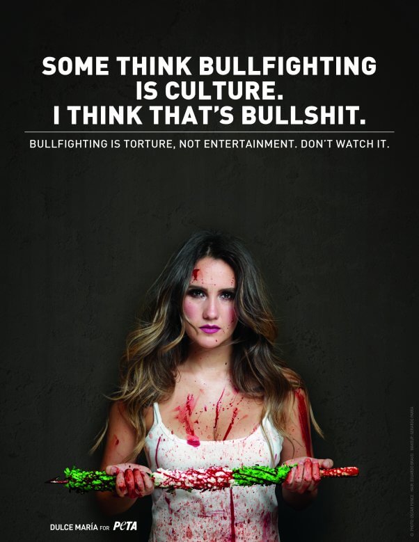 Dulce Maria with PSA text reading some think bullfighting is culture. I think that's bullshit. Bullfighting is torture, not entertainment. Don't watch it