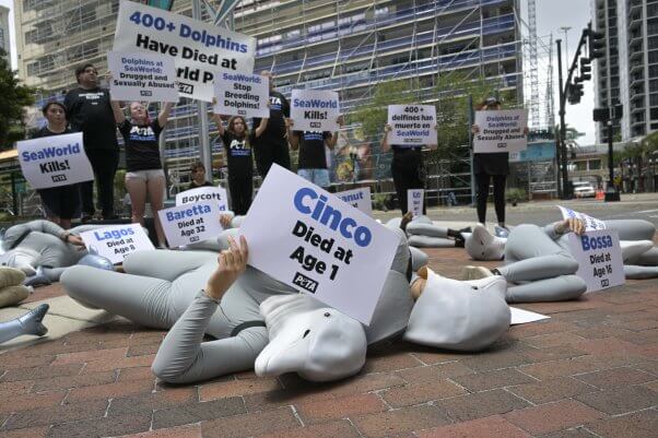 dying 'dolphins' at protest