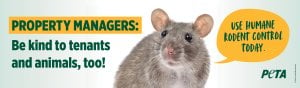 Billboard featuring a mouse with text that reads property managers be kind to tenants and animals, too! Use humane rodent control today