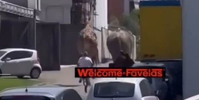 an elephant and a giraffe running along a street. watermark reads "welcome to favelas".