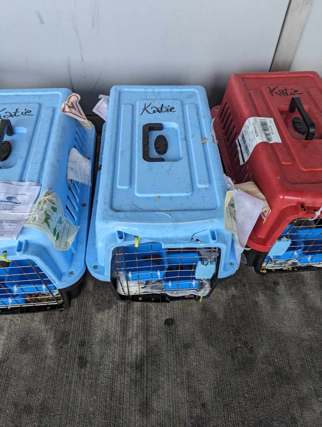 Row of damaged crates
